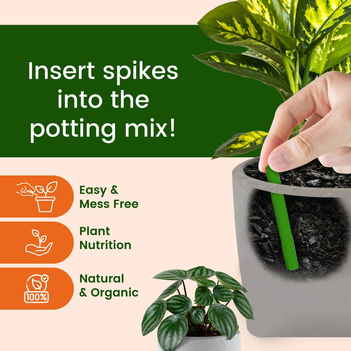 Plant Grow Fertilizer Sticks - 25+25 FREE = 50 Sticks