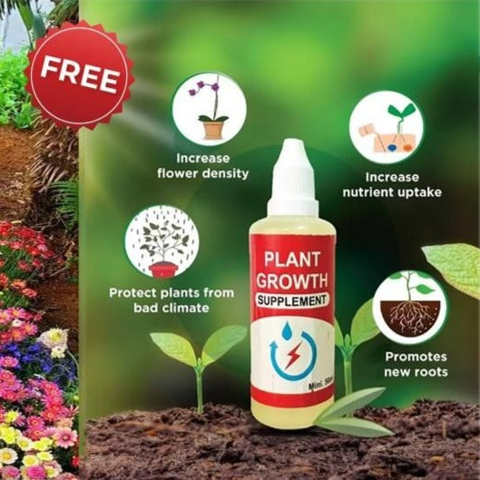 Flower Seeds 100+ Different Flowers + FREE Plant Growth Supplement