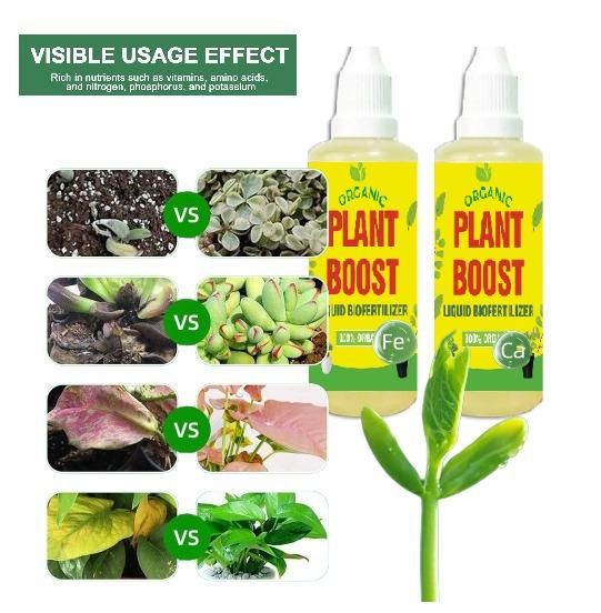 Plant Boost for All Plants - Buy 2 Get 2 FREE - Pack of 4