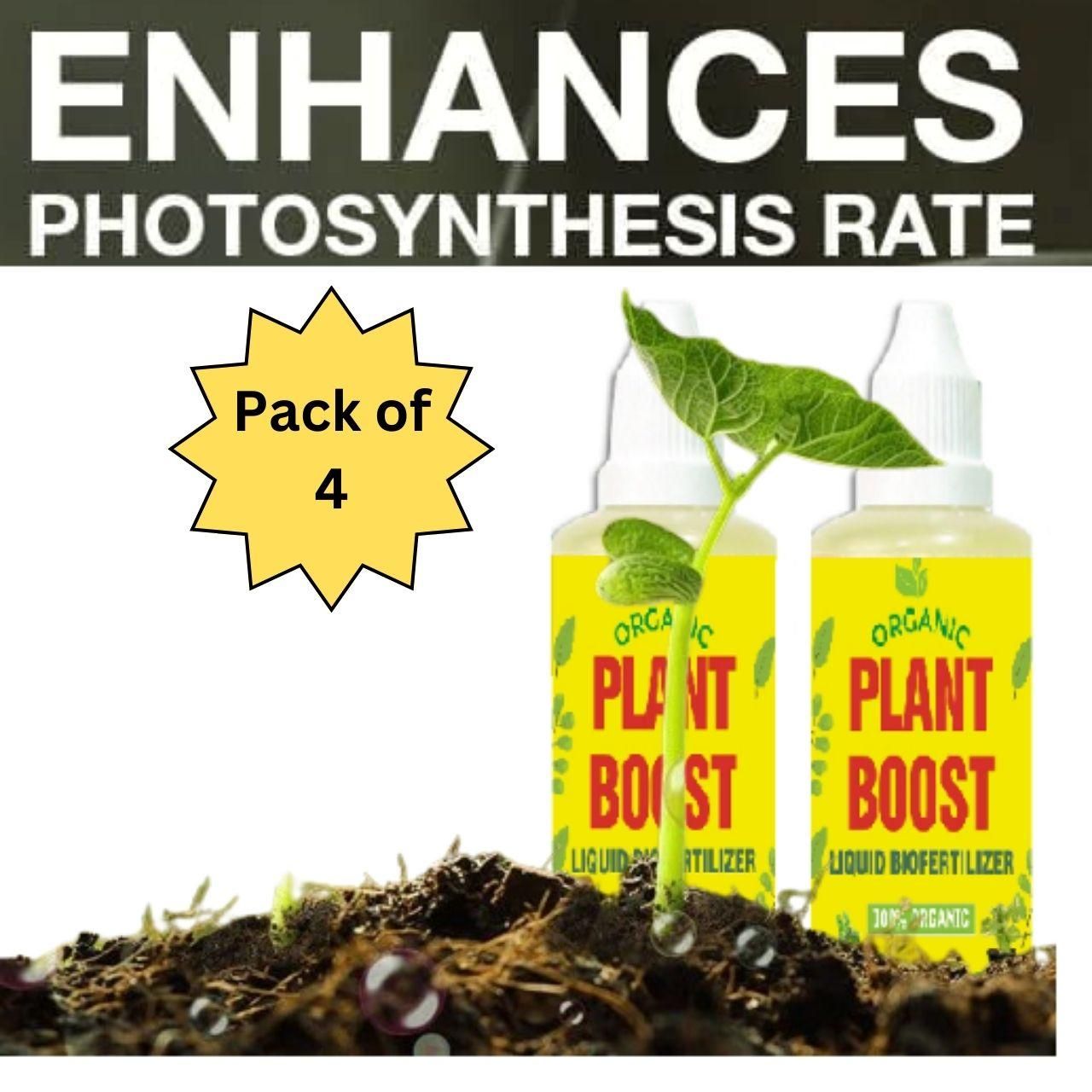 Plant Boost for All Plants - Buy 2 Get 2 FREE - Pack of 4