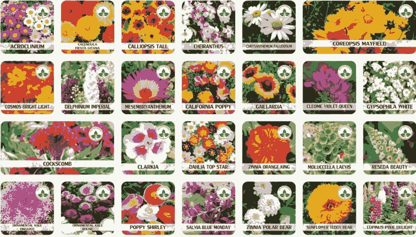 Flower Seeds 100+ Different Flowers + FREE Plant Growth Supplement