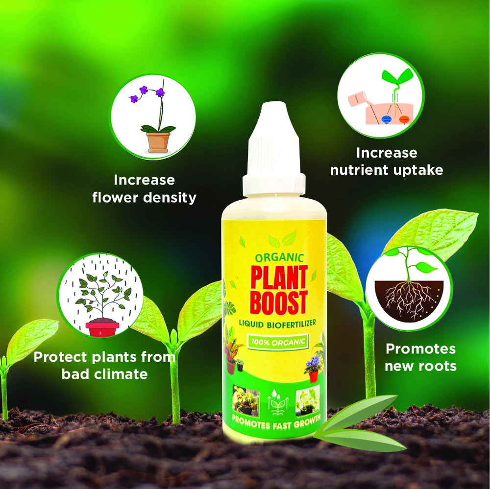 Plant Boost for All Plants - Buy 2 Get 2 FREE - Pack of 4