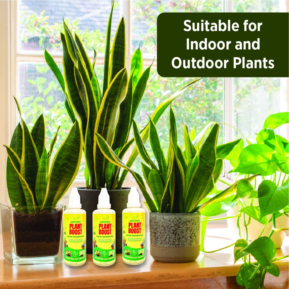 Plant Boost for All Plants - Buy 2 Get 2 FREE - Pack of 4