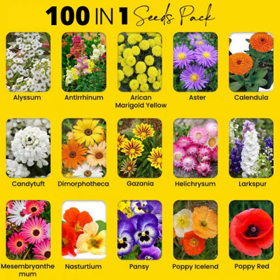 Flower Seeds 100+ Different Flowers + FREE Plant Growth Supplement